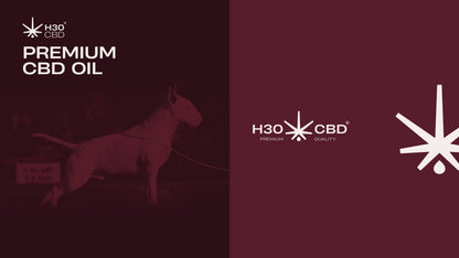 H30CBD 3% FULL SPECTRUM - para Mascotas