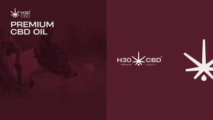 H30CBD 3% FULL SPECTRUM - para Mascotas