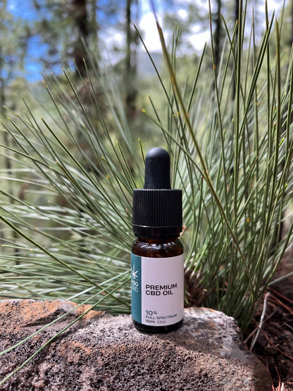 H30CBD 10%